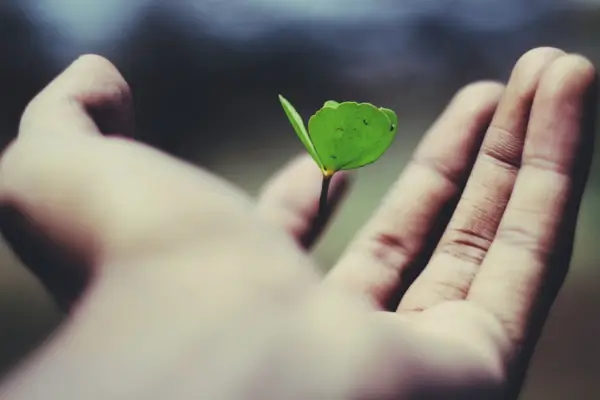 How Slow Wins and Soft Goals Can Transform Your Personal Growth