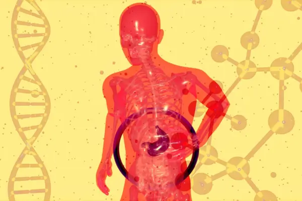 Fermented Foods & Gut Health